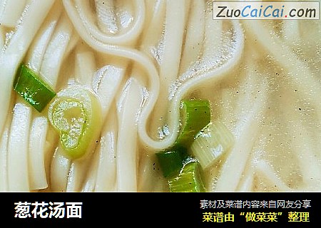 葱花汤面