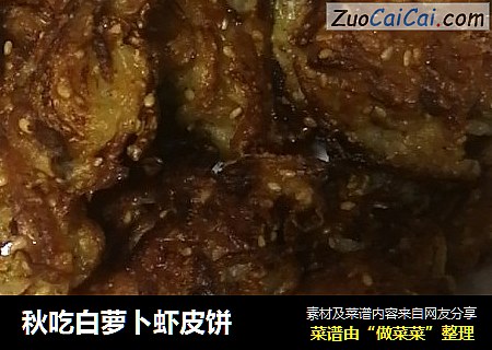 秋吃白萝卜虾皮饼