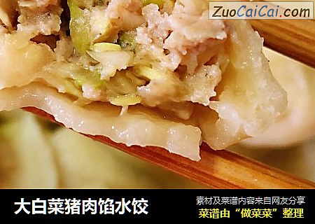 大白菜猪肉馅水饺