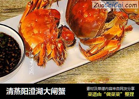 清蒸阳澄湖大闸蟹