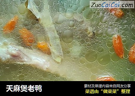 天麻煲老鸭