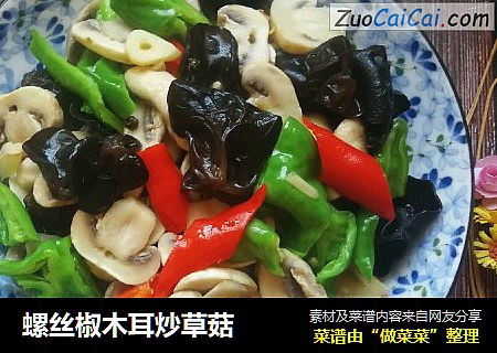 螺丝椒木耳炒草菇