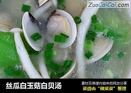 丝瓜白玉菇白贝汤
