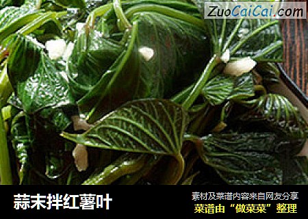 蒜末拌红薯叶