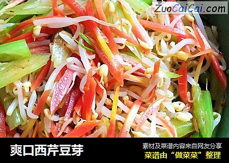 爽口西芹豆芽