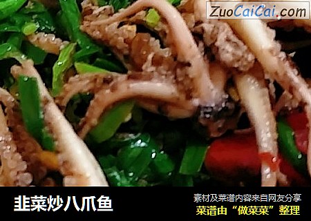 韭菜炒八爪鱼