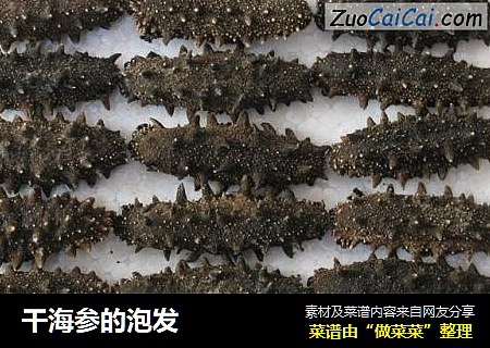 干海参的泡发