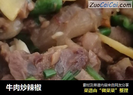 牛肉炒辣椒