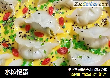 水饺抱蛋