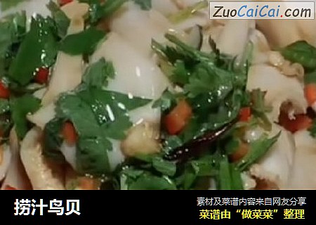 捞汁鸟贝