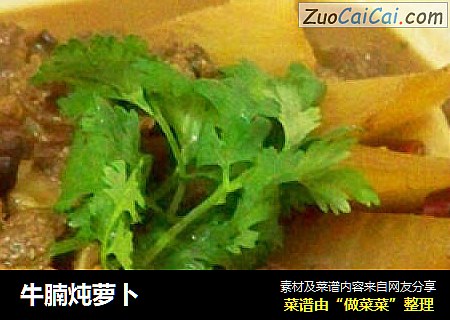 牛腩炖萝卜