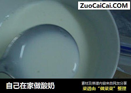 自己在家做酸奶
