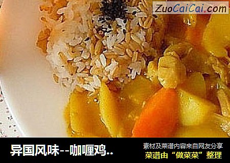 异国风味--咖喱鸡肉饭