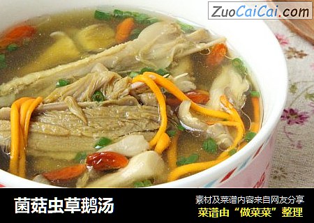 菌菇虫草鹅汤