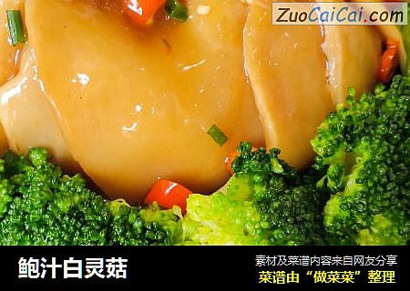 鲍汁白灵菇