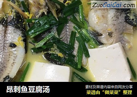 昂刺鱼豆腐汤