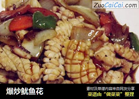 爆炒鱿鱼花