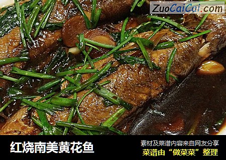 红烧南美黄花鱼