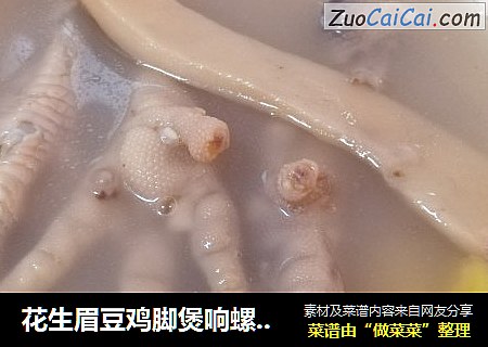 花生眉豆鸡脚煲响螺片汤