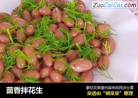 茴香拌花生