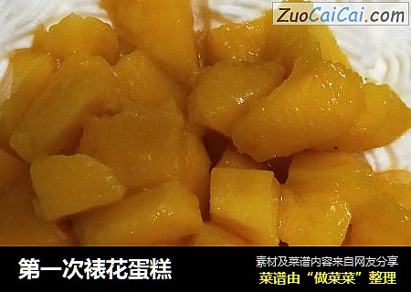 第一次裱花蛋糕