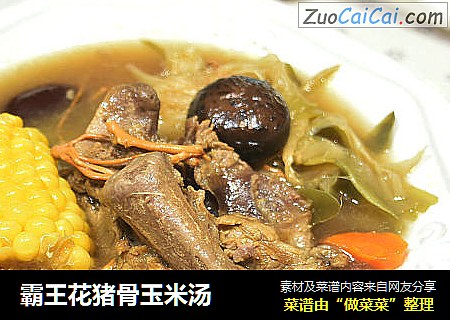霸王花猪骨玉米汤