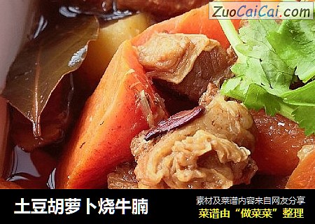 土豆胡萝卜烧牛腩
