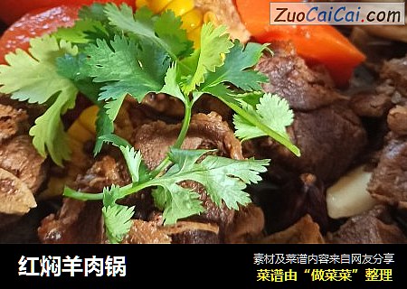 红焖羊肉锅