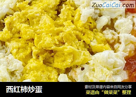 西红柿炒蛋