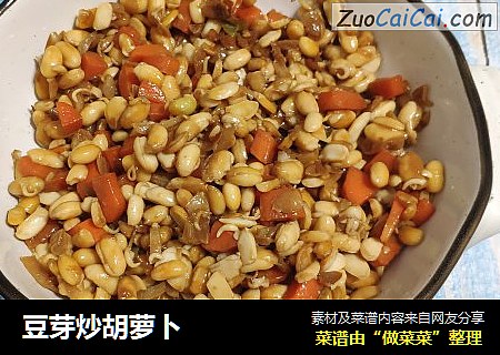 豆芽炒胡萝卜