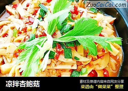 凉拌杏鲍菇