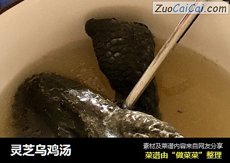 灵芝乌鸡汤