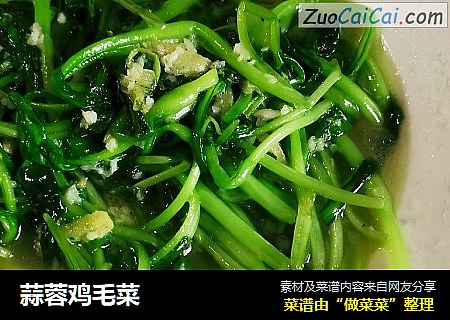 蒜蓉鸡毛菜