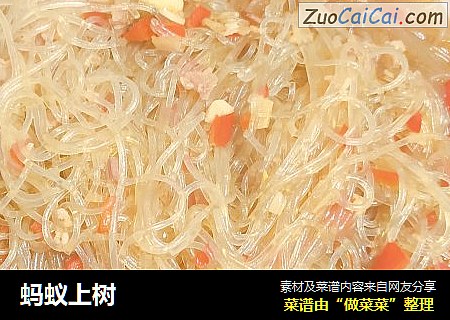 蚂蚁上树