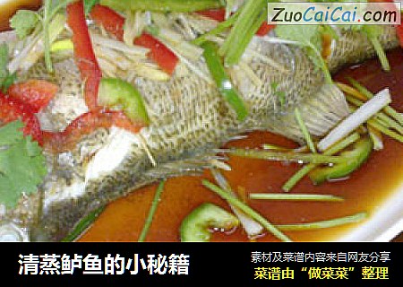 清蒸鲈鱼的小秘籍