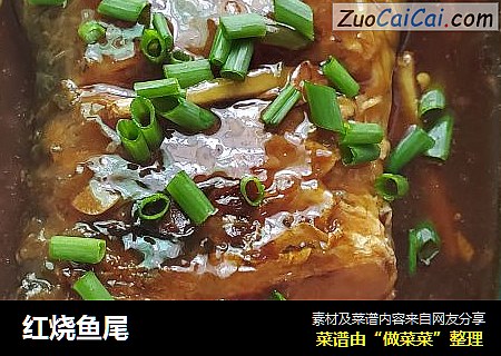 红烧鱼尾