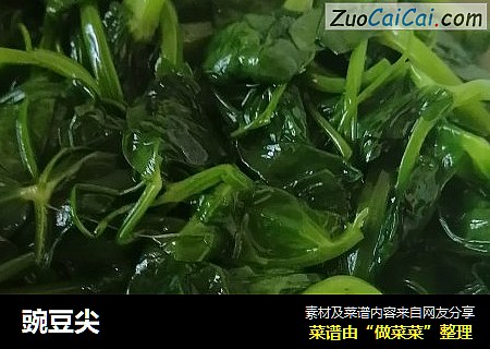 豌豆尖