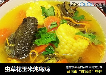虫草花玉米炖乌鸡