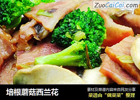 培根蘑菇西兰花