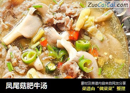 凤尾菇肥牛汤