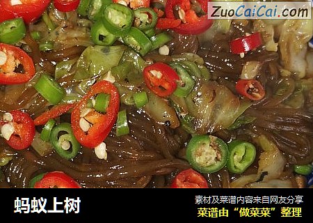 蚂蚁上树