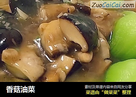 香菇油菜