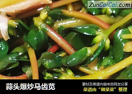 蒜头爆炒马齿苋