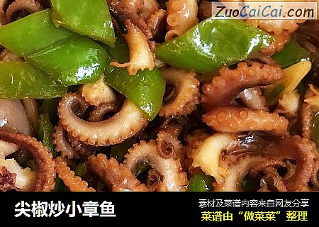 尖椒炒小章鱼