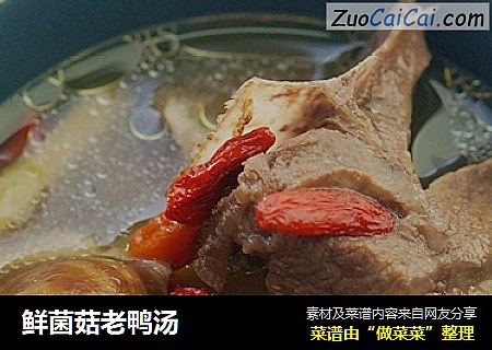 鲜菌菇老鸭汤