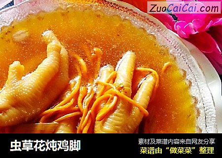 虫草花炖鸡脚