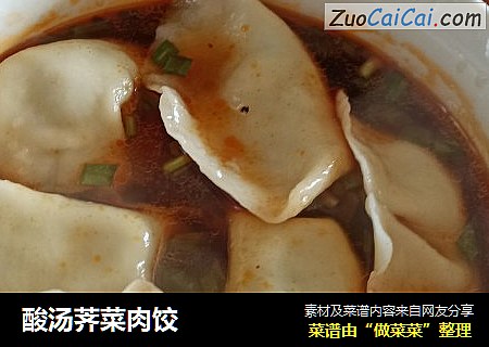 酸汤荠菜肉饺