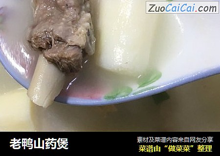 老鸭山药煲