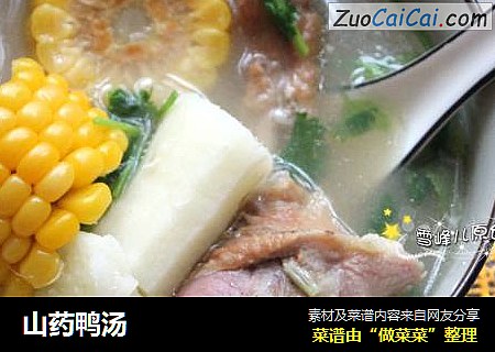 山药鸭汤
