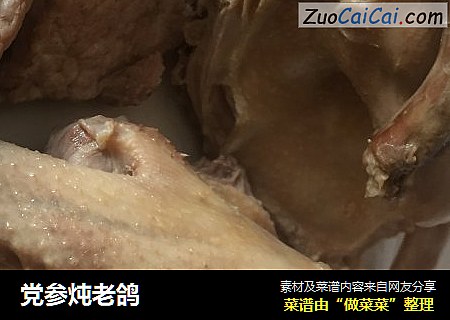 党参炖老鸽